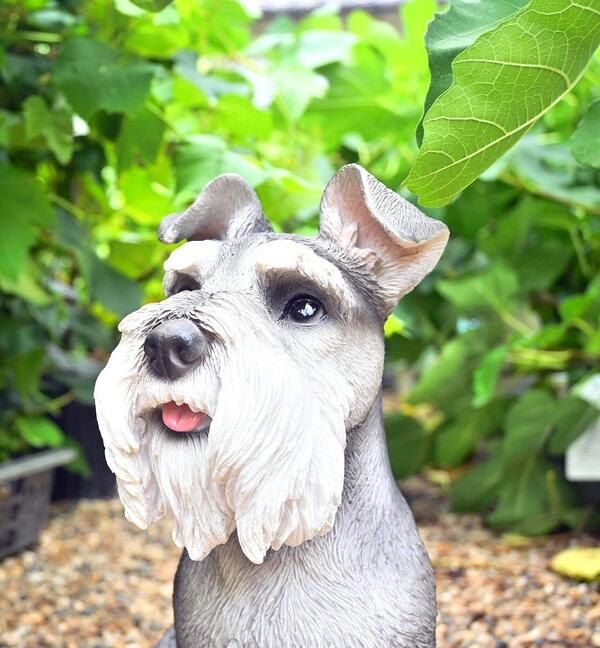 100 正規品 シュナウザー 毛が長い犬 ムッシュ置物 かわいい置物 犬の置物