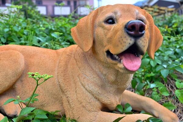 上品】 ラブラドール いぬ 犬置物 かわいい置物 犬の置物大型犬 朔太郎 生まれのブランドで 犬 置物 置物