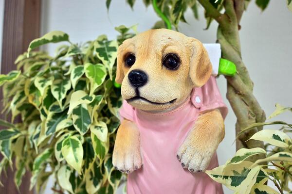 ハンガーいぬ　犬　いぬ いぬの置物　吊り下げる置物　置物 お庭や玄関、お部屋に飾るとgood。