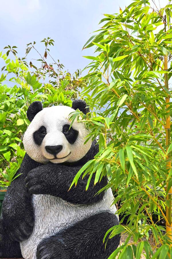 楽天市場】見つめるパンダ（大） 本物そっくり リアル パンダ パンダ型