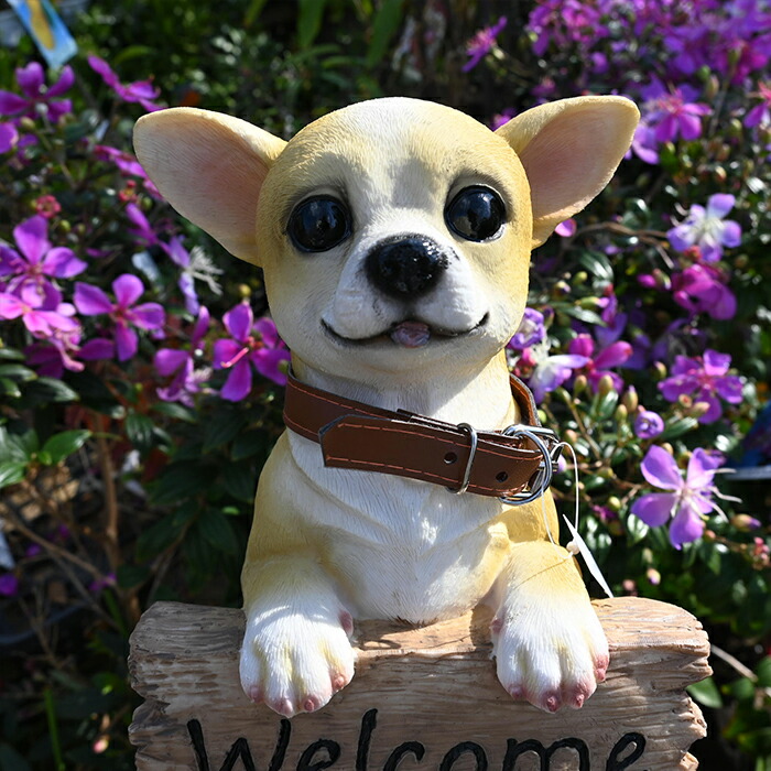 楽天市場】ウェルカム犬 チワワ シーズー 2つセットwelcomボード 置物