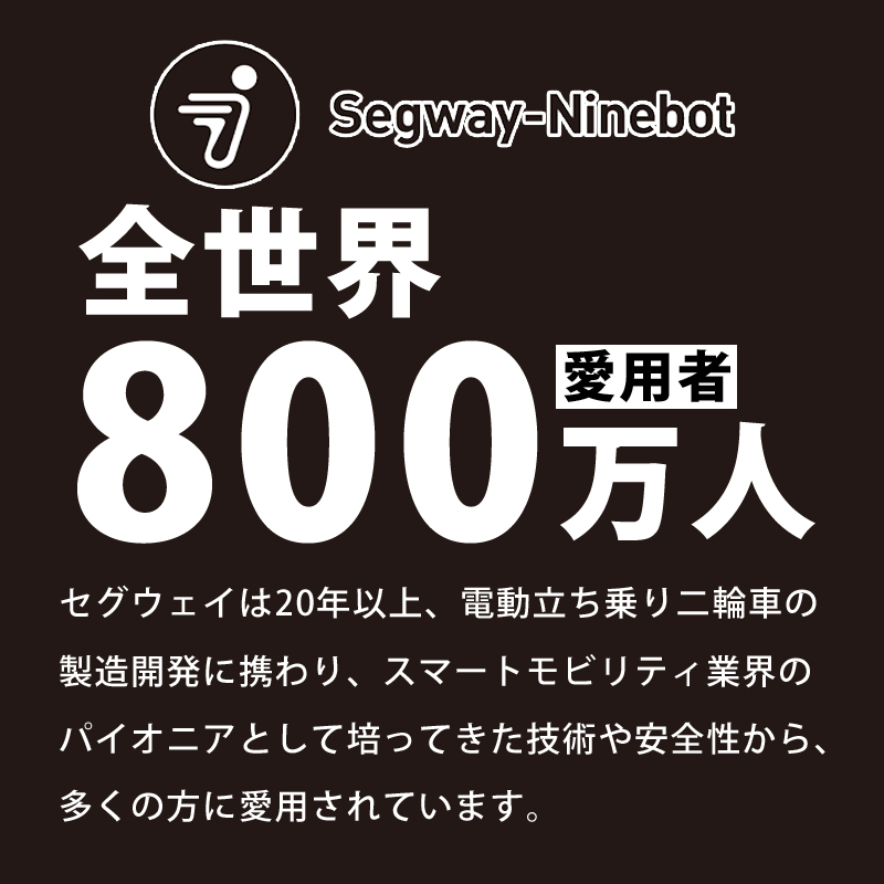 セグウェイ 電動キックボード 電動キックスクーター 耐水 D28J ライト