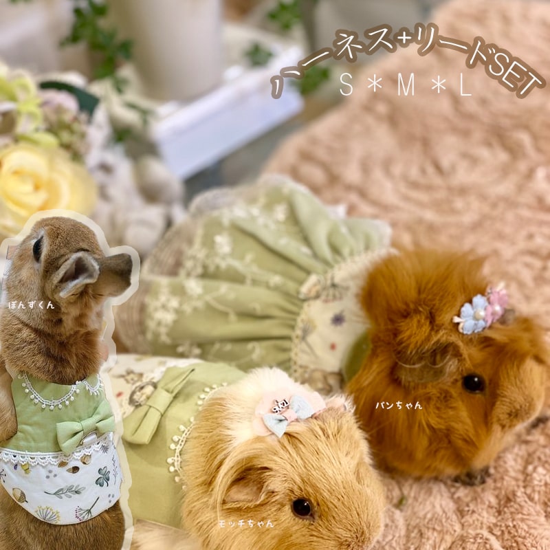 楽天市場】(送料無料) うさぎ ハーネス モルモット 専用 かわいい