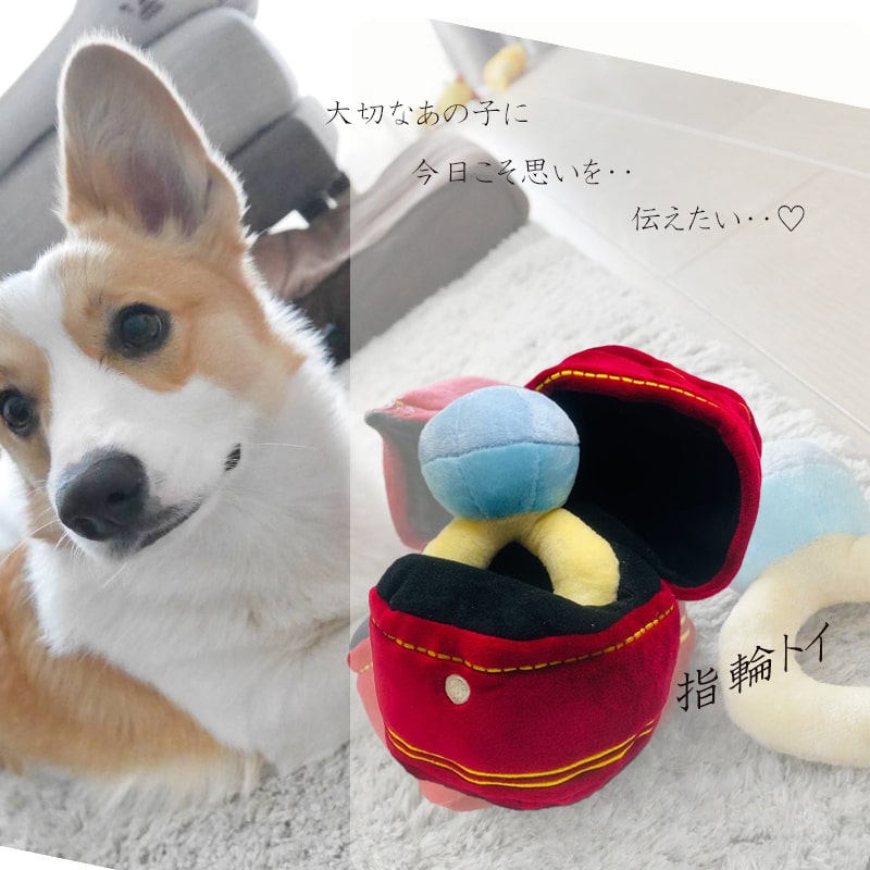 楽天市場】(再入荷(送料無料) ) 韓国 5点セット ローストチキン おもちゃ 犬 おもちゃ 犬用おもちゃ 犬のおもちゃ音が鳴る 可愛い 撮影 ぬいぐるみ  おもしろ ペット用 犬 インスタ映え 丈夫 長持ち ロープ 引っ張り合い 小型犬 中型犬 大型犬 : minimini