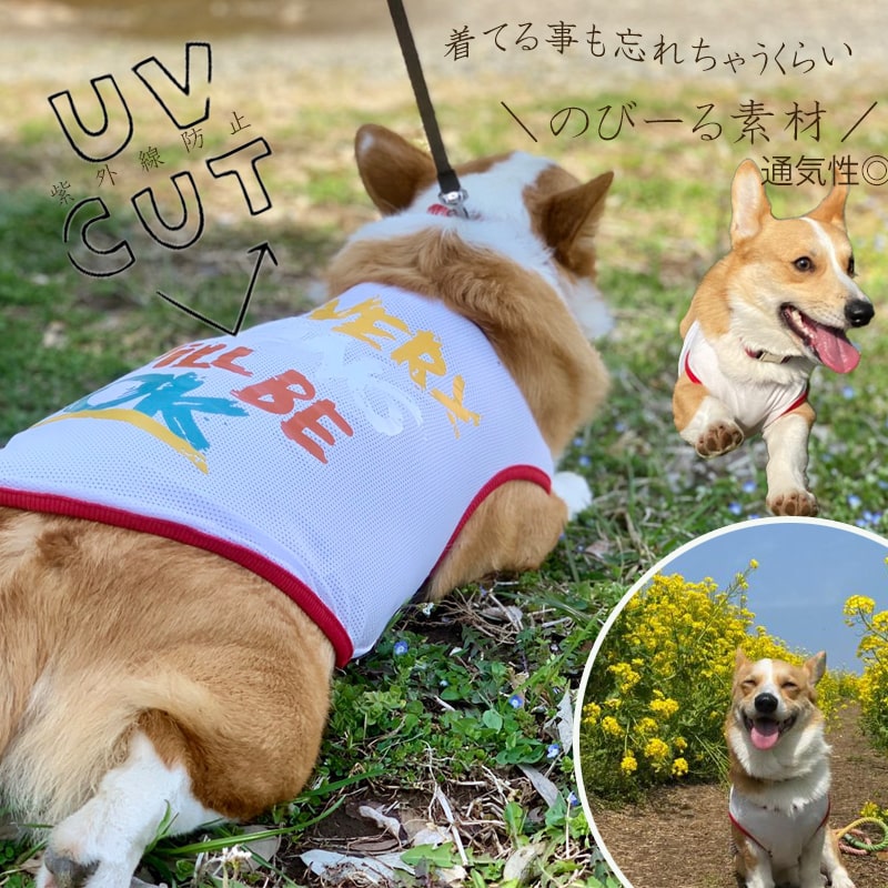 市場 送料無料 猫 和柄 小型犬 ペット おそろ 着物 晴れ着 犬の服 お正月 犬 中型犬 ドックウェア 和服