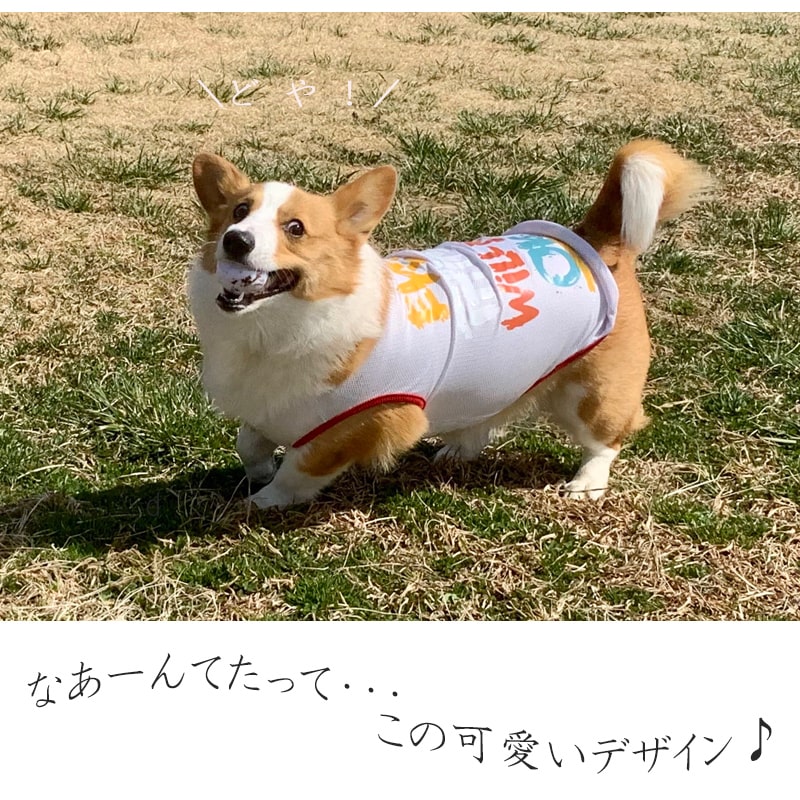 送料無料 犬 おしゃれ かっこいい かわいい アメリカン コーギー ソフトメッシュ タンクトップ ドッグウェア プリント メッシュ 中型犬 夏 守る 小型犬 抜け毛 春 暑さ対策 服 毛落ち防止 涼しい 皮膚 紫外線カット 脱着も簡単 通気性 防止 風 最大67 Offクーポン 服