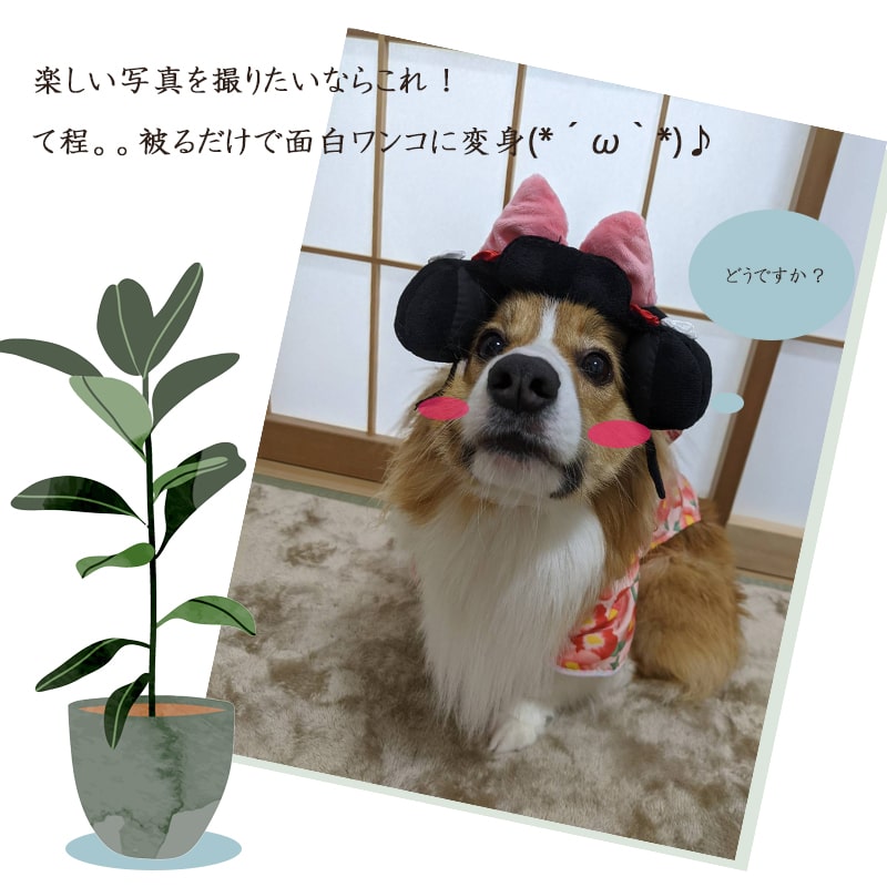 市場 送料無料 イベント お殿様 おもしろ 姫 ひな祭り かつら かわいい 正月 コスプレ 犬 ハロウィン アクセサリー 武士