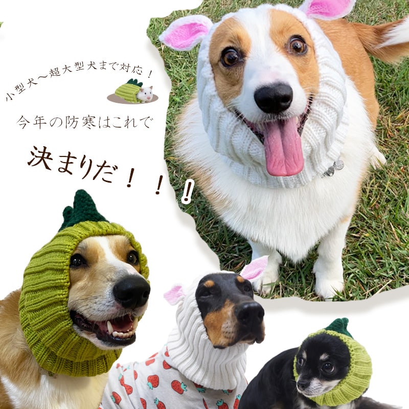 楽天市場】【送料無料/即納】 犬 被り物 うさぎ 帽子 コーギー 