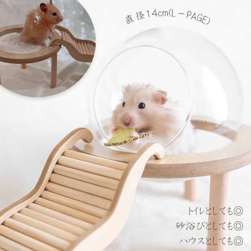 日本メーカー新品 ハムスター用ハウス(ジャンガリアン・ロボロフスキーに巣箱・巣・家・おもちゃ) 通販