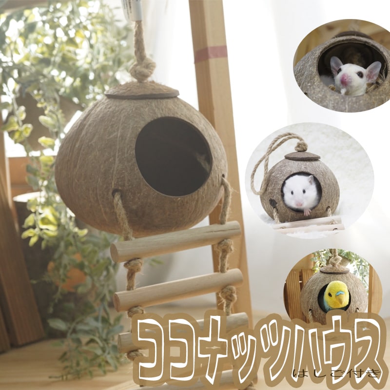 木製ケージ 爬虫類 小動物 バードハウス 小鳥 木製ケージ 爬虫類 小動物 バードハウス 小鳥