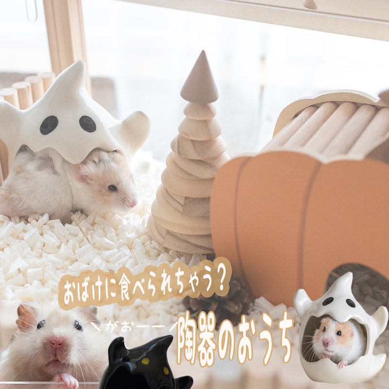 楽天市場】【すぐ届く】 ハムスター 陶器 ひんやり ハウス おばけ