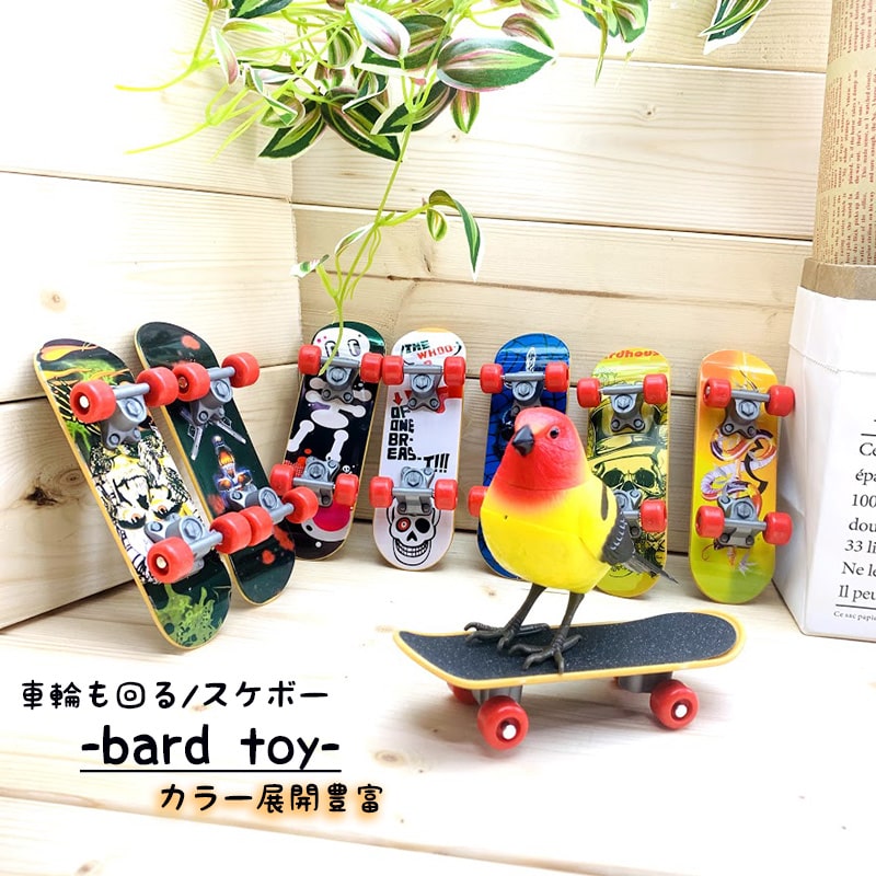 鳥 スケボー バードトイ インコ 新品未使用 ストレス解消 指スケ