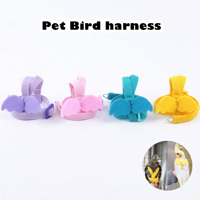 楽天市場 インコ専用 ハーネス リード フライトスーツ お散歩 迷子防止 運動不足 トレーニング おしゃれ 鳥用 調節可能 ロープ 天使の羽 お出かけ 散歩 ウォーキング セキセイインコ シロハラインコ マメルリハ ボタンインコ ラブバード オカメインコ Minimini