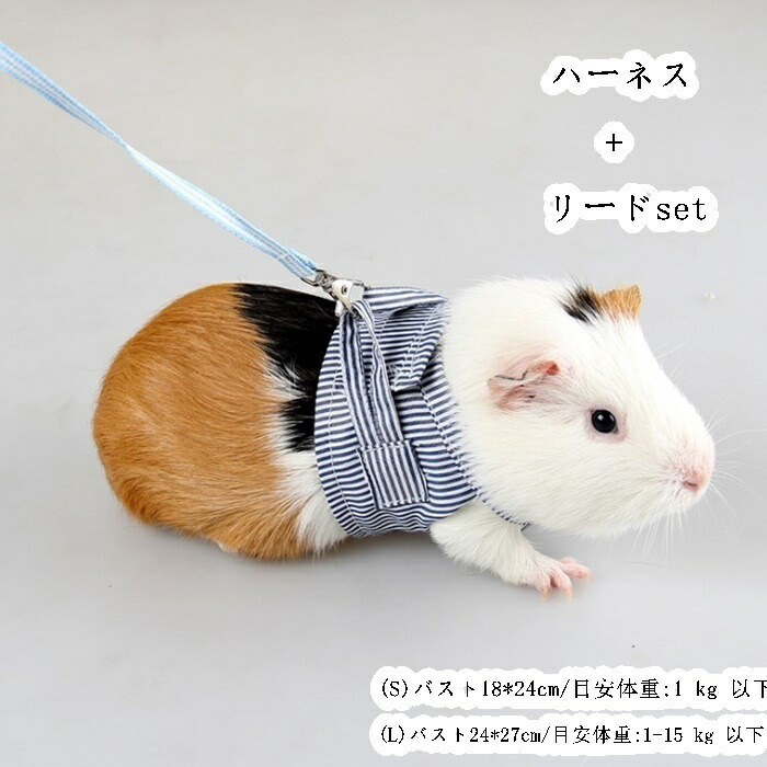 市場 送料無料 リード ハーネス ハリネズミ モルモット 運動不足 迷子防止 お散歩
