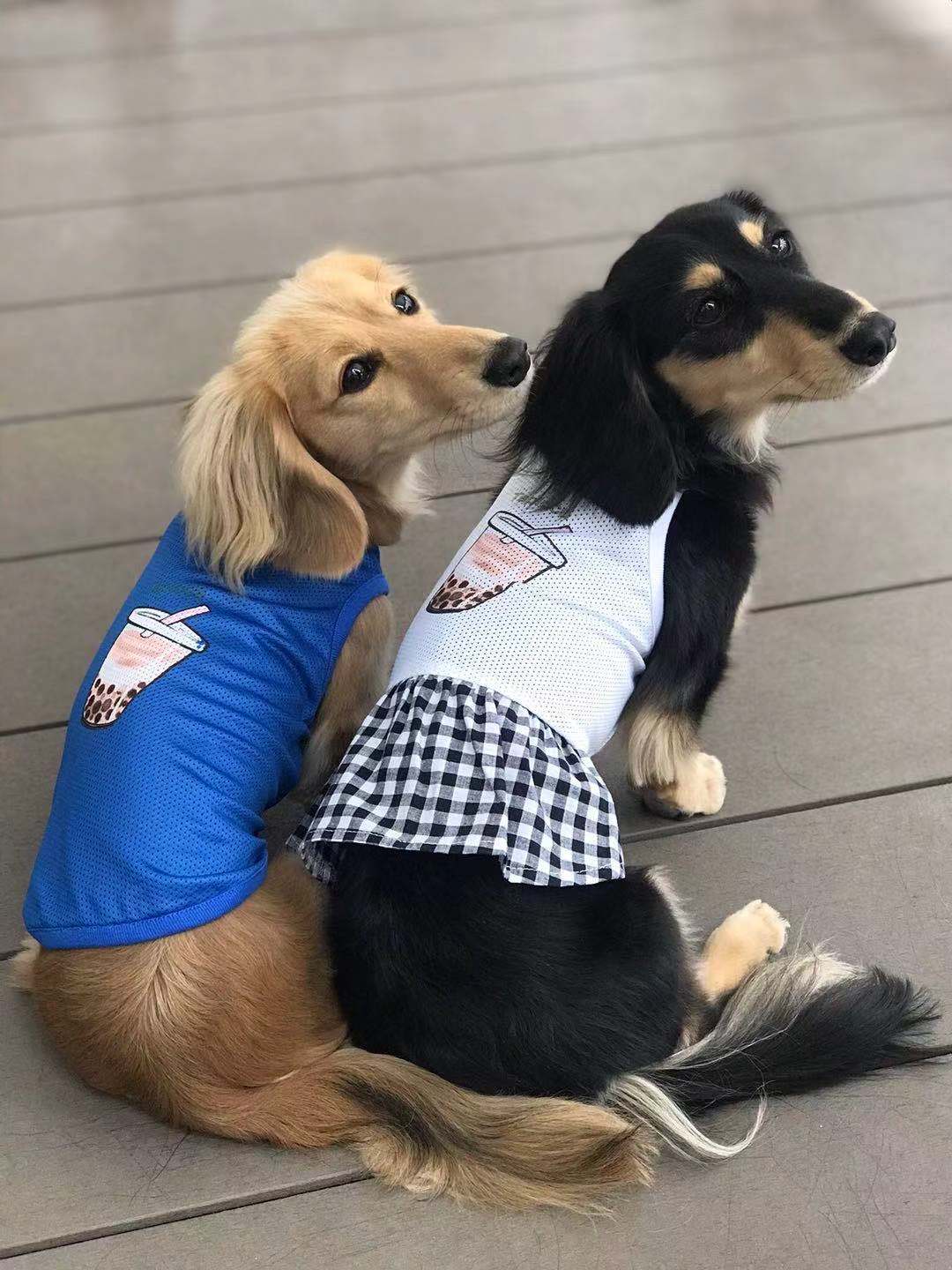 楽天市場 犬の服 タンクトップ 犬 服 夏服 犬の服 犬洋服 犬用服 小型犬 ドッグウェア ドッグウエア ペット服 ペットウェア 夏用 ブランド 女の子 男の子 チワワ 小型犬 いぬ 袖なし 可愛い かわいい おしゃれ オシャレ グリーンリーフ タンク Xxs Ss S 送料無料 ミニモ