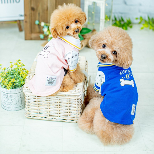 【楽天市場】犬の服 犬服 ドッグウェア L/XL 骨型プリント鹿の子