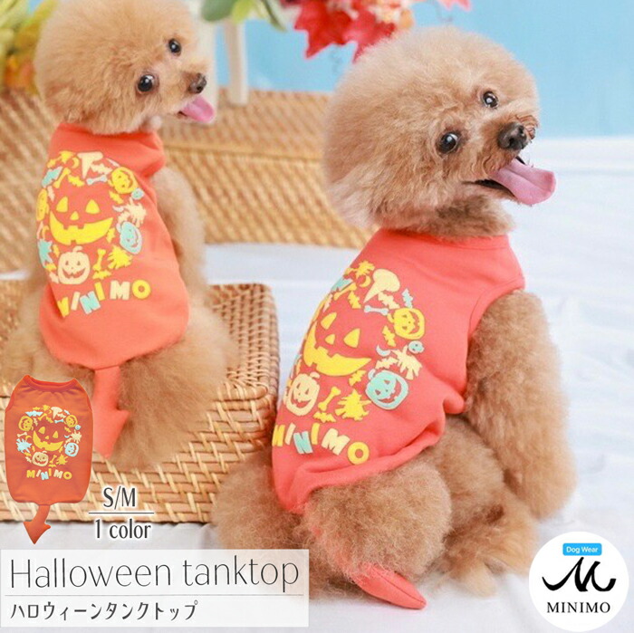 楽天市場】犬 ハロウィン タンク XL 冬服 犬服 タンクトップ ブランド
