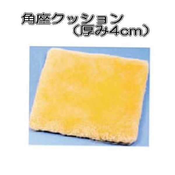 ナーシングラッグ 角座座布団 NR-30 ウィズ