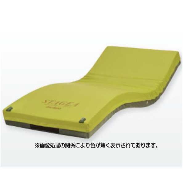 人間宅送りとどける可 大気圏マットレス ステージア モルテン MSTA91 MSTA91S MSTA83 MSTA83S MSTAA83 床ずれ 押しとどめる 褥瘡 止めること 除圧 体圧 散らばる