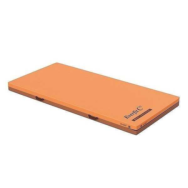 エバーフィットC3 清拭 100 KE-617SQ パラマウントベッド