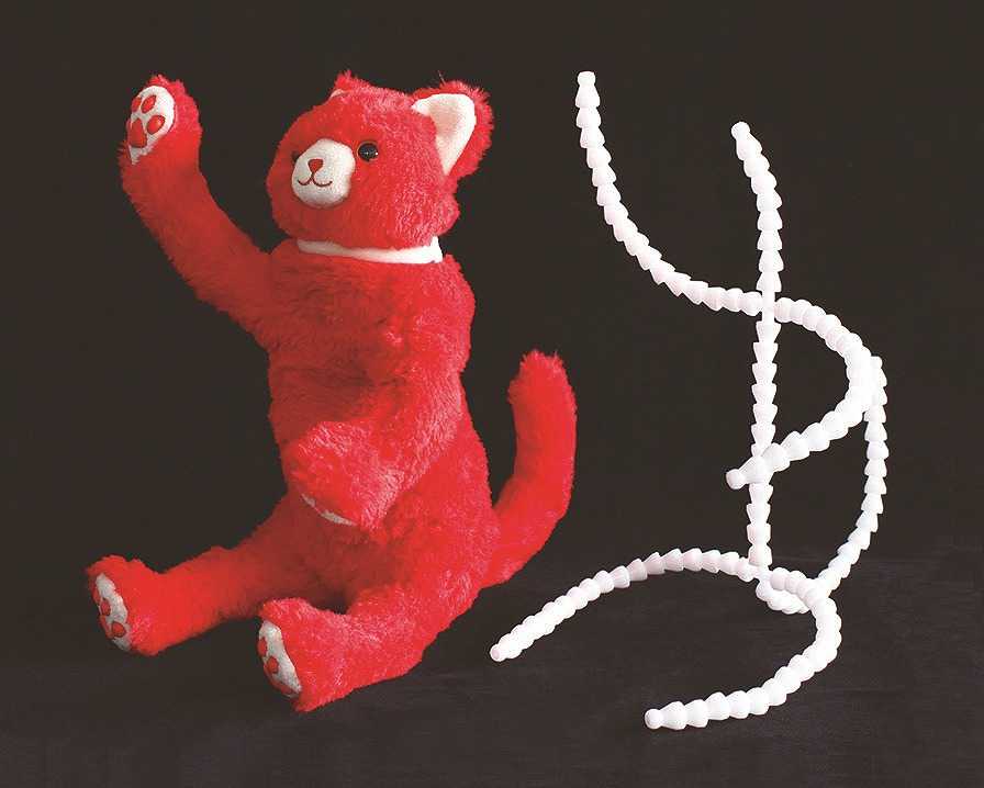 だるまニャン Dar01 サンリット計画 Cannes Encheres Com