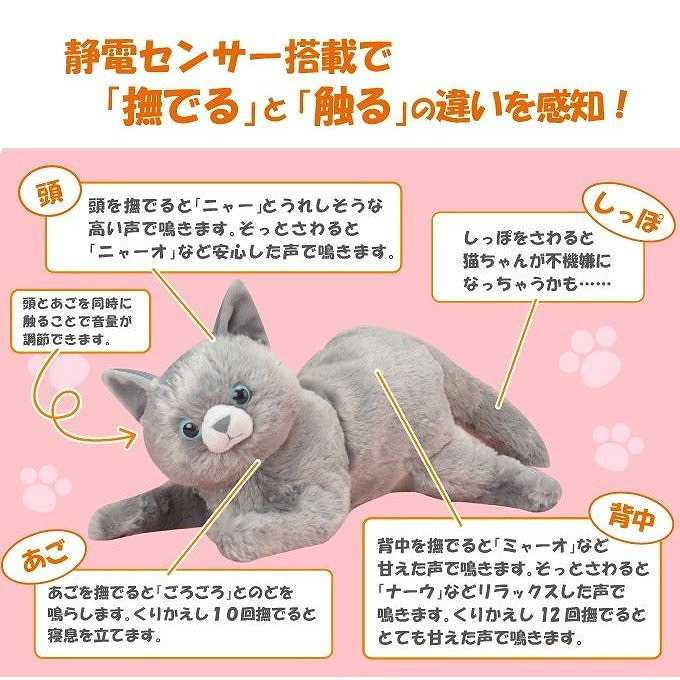 なでなでねこパパdx3 ロシアンブルーチーズちゃん 趨向君 Daemlu Cl