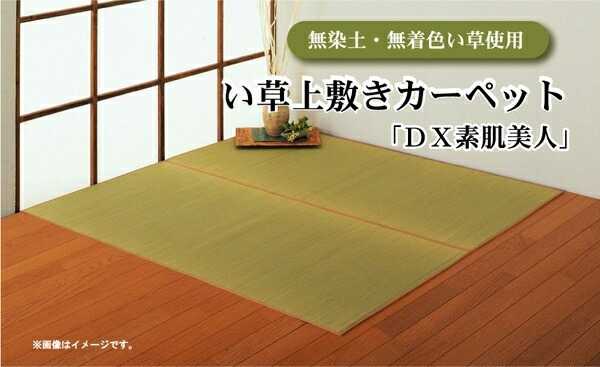 無染土 い草上敷 Dx素肌美人 江戸間6畳 約261×352cm 裏:不織布張り イケヒコ|介護ミニロク 店