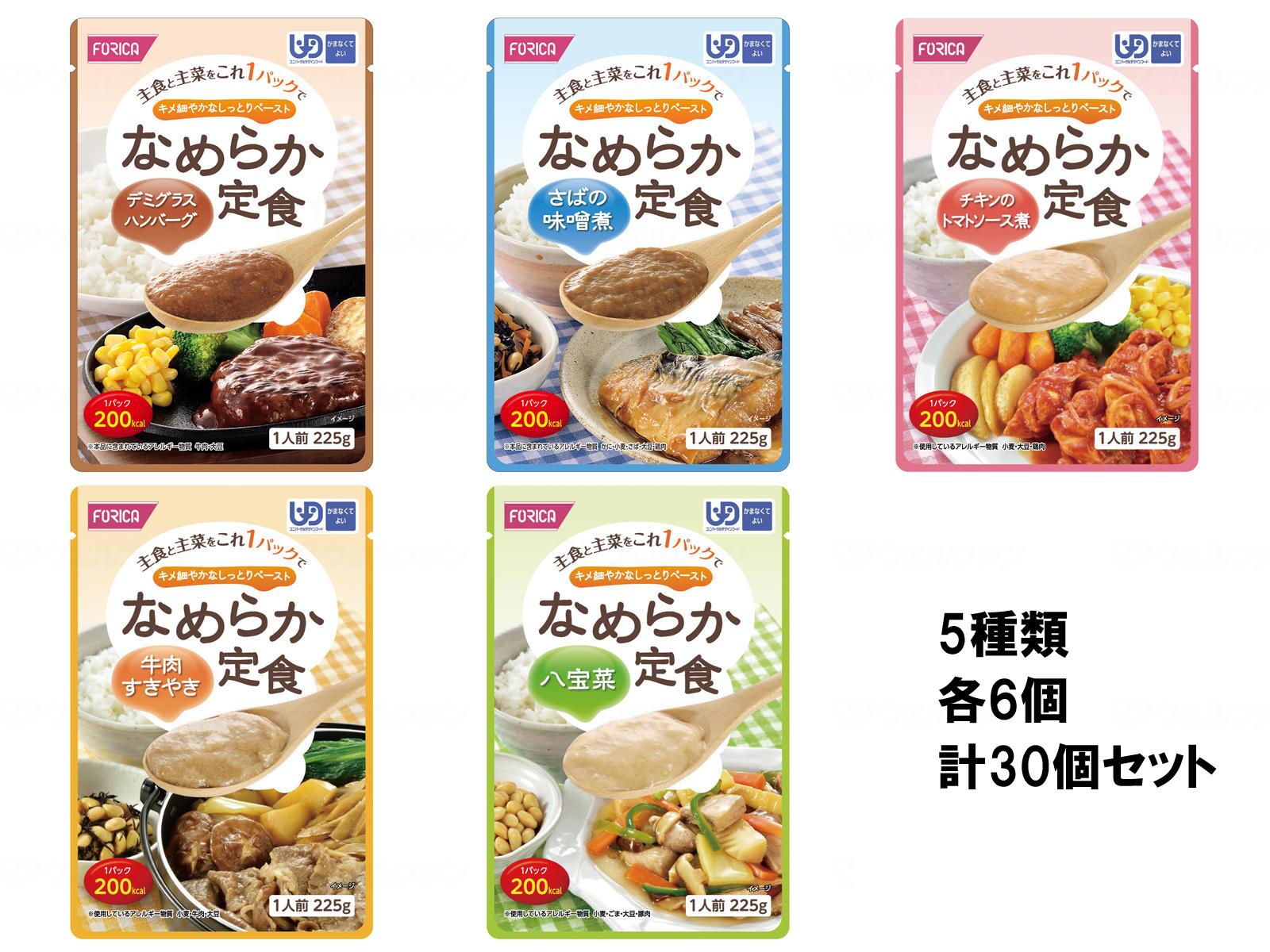 介護食 カテゴリー化4 坦々たる定食 5種 各6袋 計30袋書き割り 1袋225g ホリカフーズ
