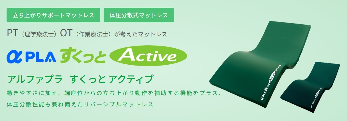 雨合羽手合い 床ずれ 止めること 介護 引っ敷き アルファプラすくっとActive 活動的 全面雨合羽 タイカ 床ずれ押しとどめる物の具 褥瘡止めること マットレス