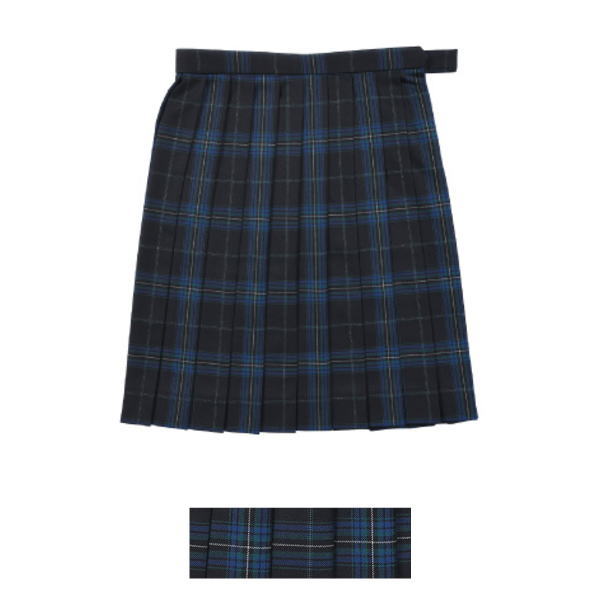 BESTELLA　ビーステラ　スクールスカート　チェックスカート　濃紺×グリーンチェック　制服スカート　学生服　BS514