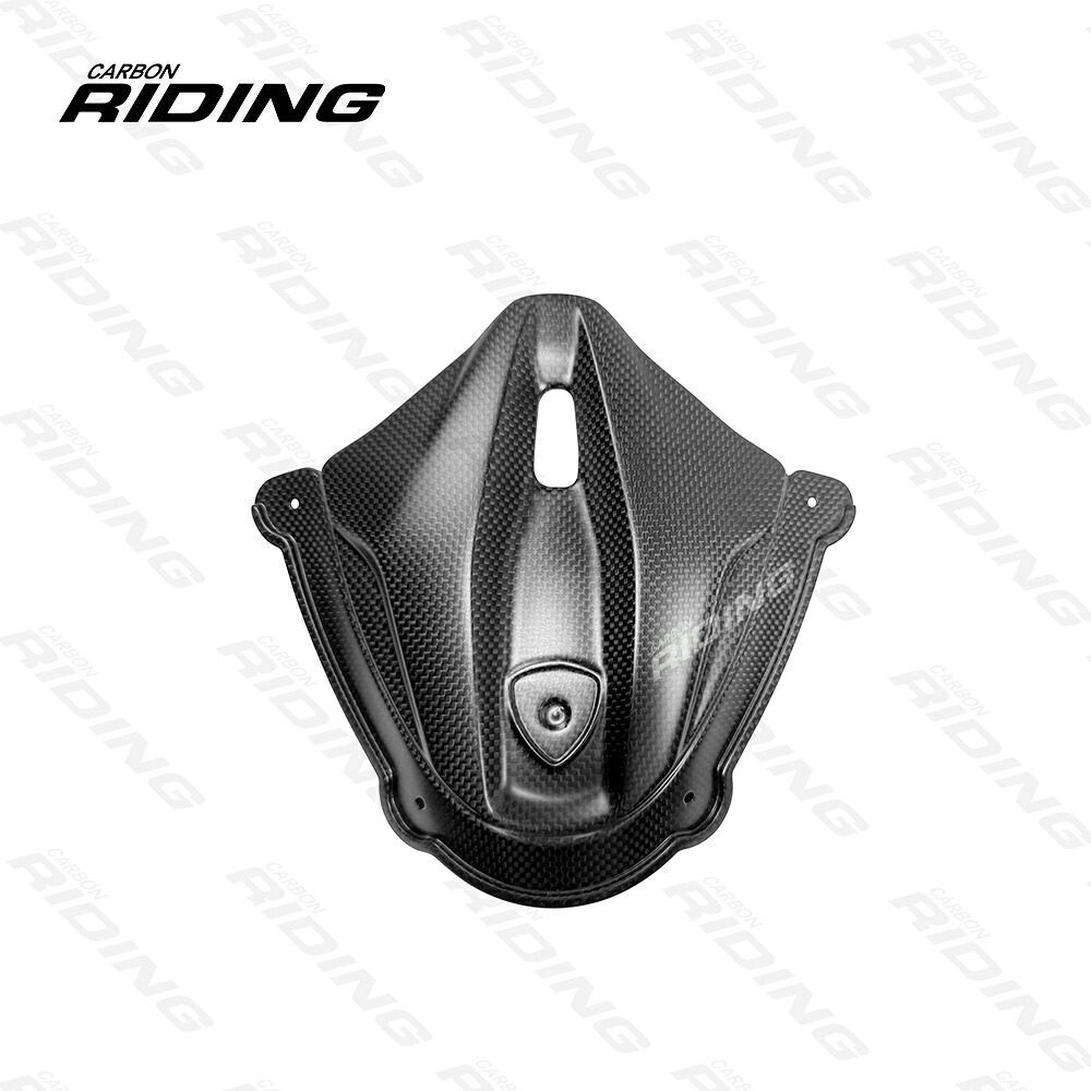 DUCATI Panigale V4 2025- スクリーンインナーカウル｜ミンナノセレクト 店