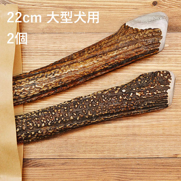 楽天市場 22cm 大型犬用 2個セット エゾ鹿の角 犬 おやつ 無添加 ガム 国産 ペット ペットグッズ ドッグフード ガム 骨 ボーン 型 鹿の角 硬い 長持ち おもちゃ 鹿角 角ガム るーららい