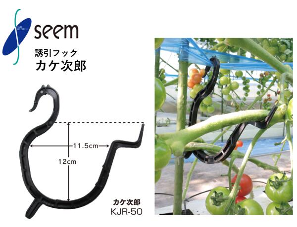 カケ次郎 シーム 50個入(1袋) 400個入(1箱) KJR-50 トマト茎整理用資材 誘引資材 農業資材|農(みのり) 店