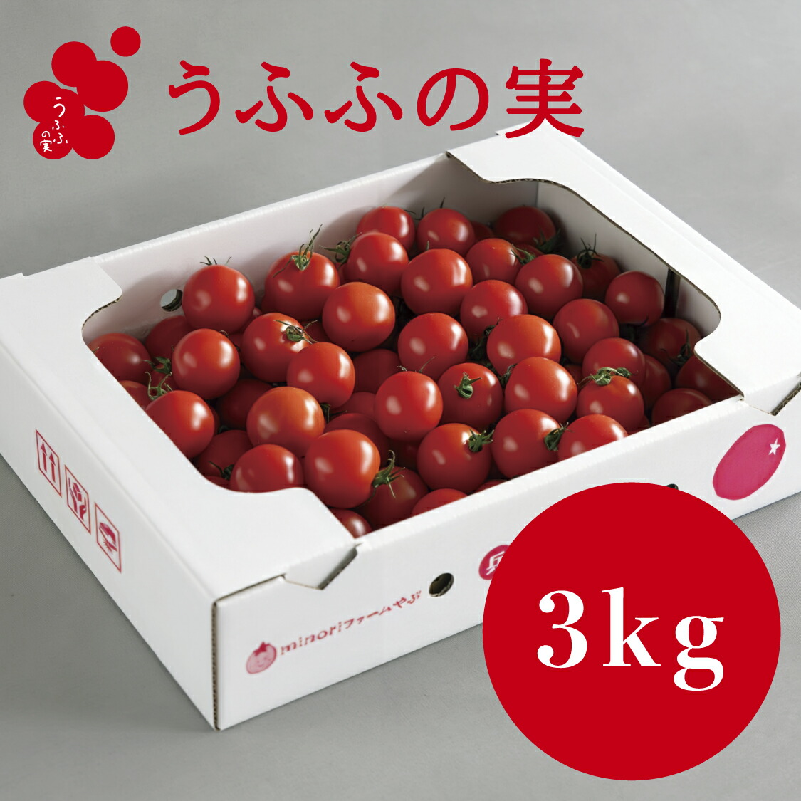 【産地直送】トマト（約3.0ｋｇ） 箱 うふふの実  高糖度フルーツトマト　アイメック【常温】送料無料　甘い 兵庫県養父市 とれたて　お取り寄せ 贈答 ギフト 贈り物