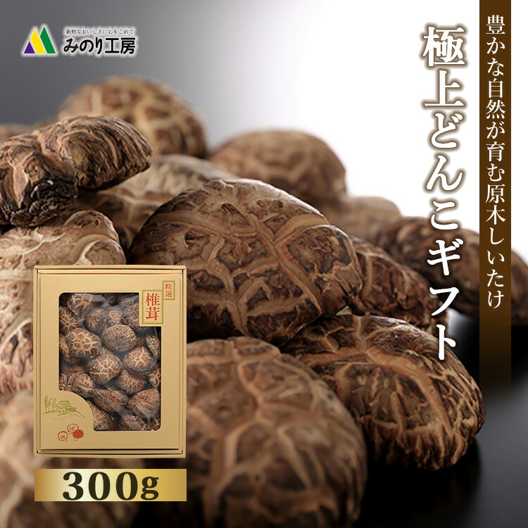 ギフト 国産 原木 しいたけ どんこ 300g 乾し 乾椎茸 椎茸 高級 2025 父の日 お中元 贈り物 送料無料 乾燥 野菜 栽培 干し 和食 自然 食品 無農薬 引き出物 御祝い 内祝い 快気祝い 出産祝い 結婚祝い 贈答 お祝い 肉厚 乾物 煮物 すき焼き 寿司 粗品 お返し お礼 香典返し