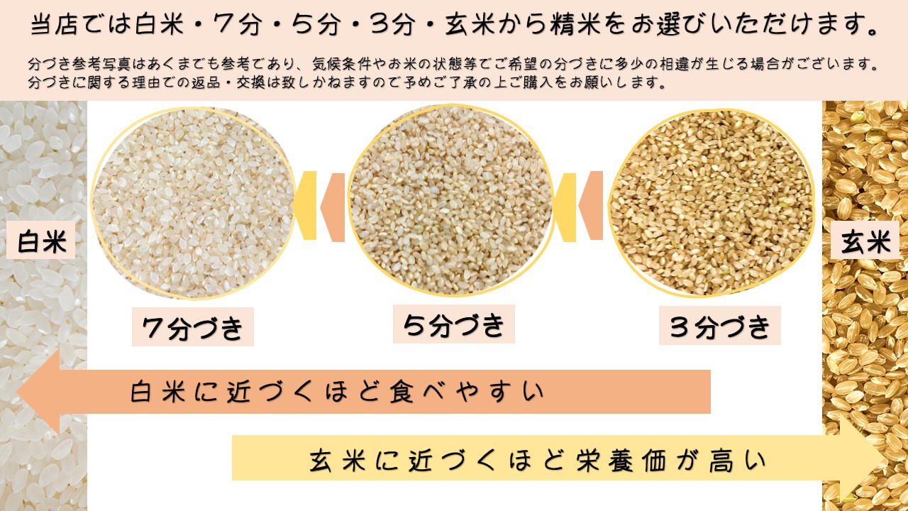 momo様専用 ミルキークィーン 無洗米 30kg 令和四年産-