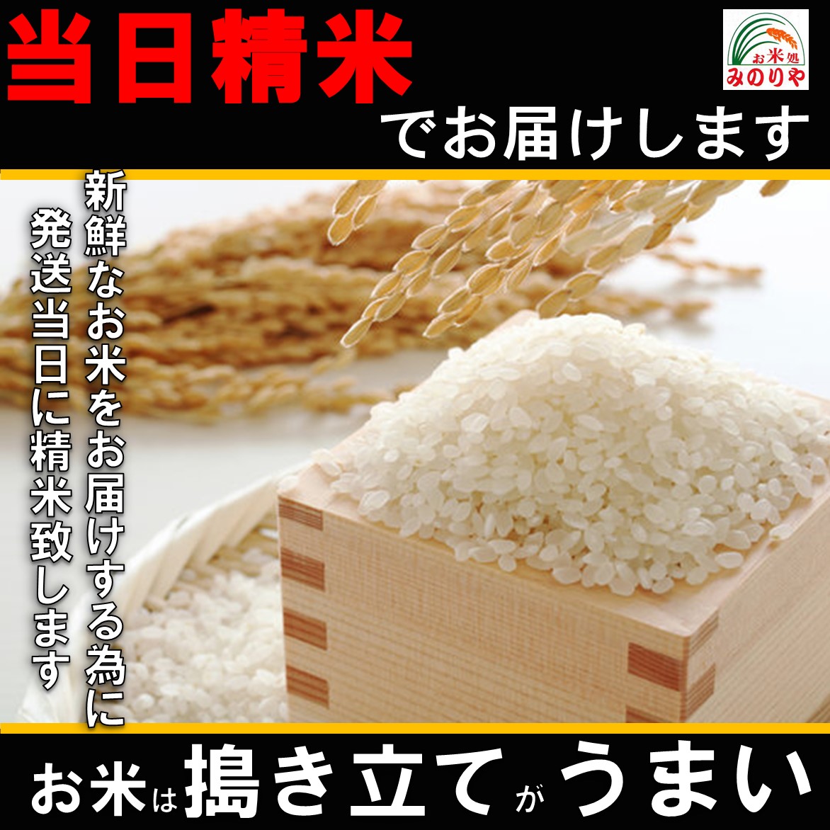 米 送料無料 30kg】 令和7年産新潟県産 コシヒカリ 玄米 30kg お米