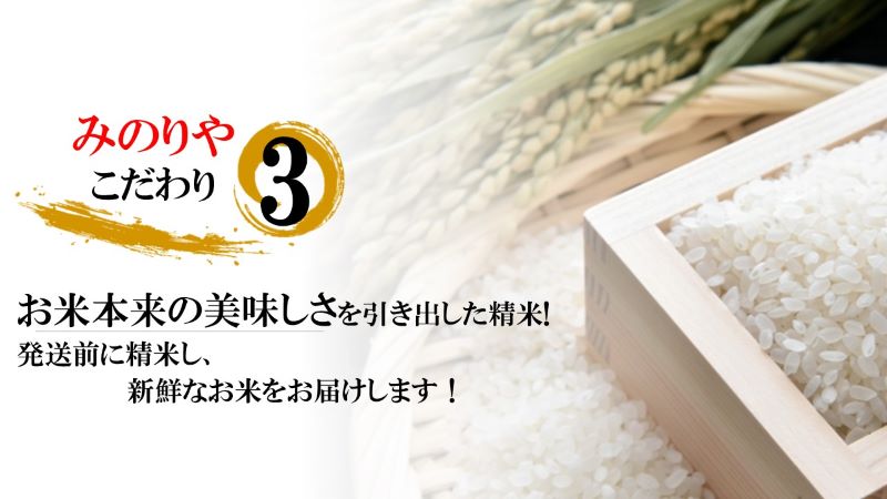 楽天市場】【米 送料無料 30kg】 新米 令和5年産新潟県産 コシヒカリ