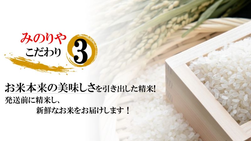 米 送料無料 30kg】 令和7年産新潟県産 コシヒカリ 玄米 30kg お米 