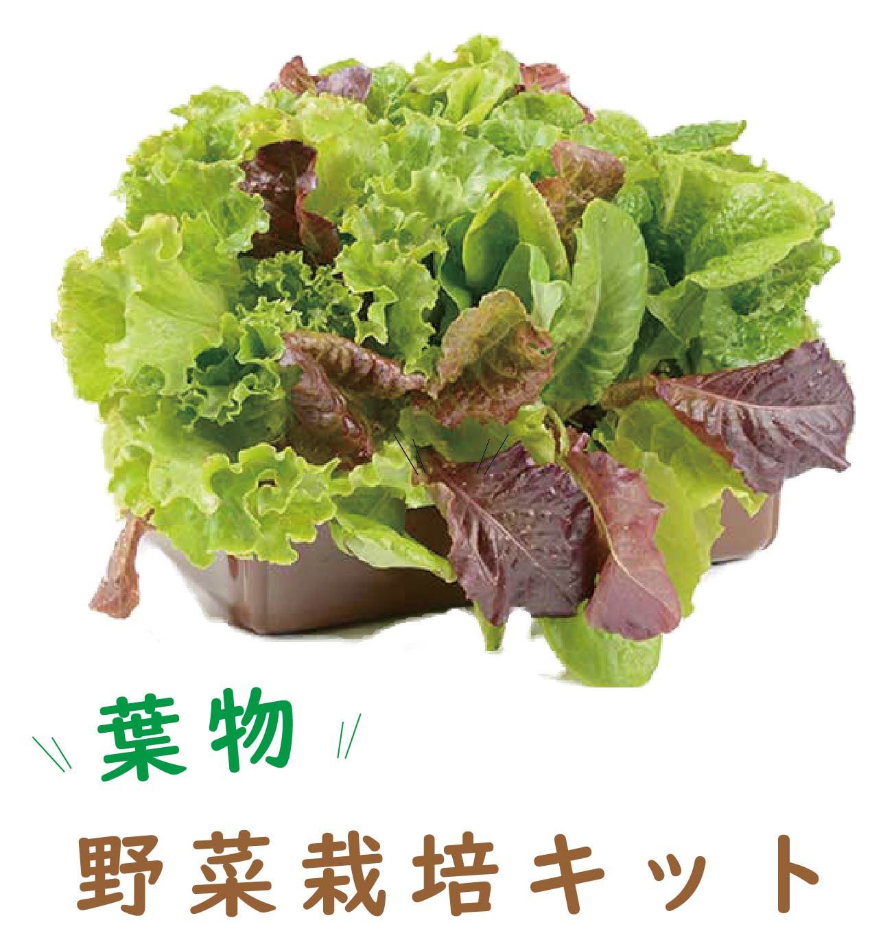 当日翌日発送 デコパーツ 10個入り フルーツ 野菜 オンラインショップ フルーツ