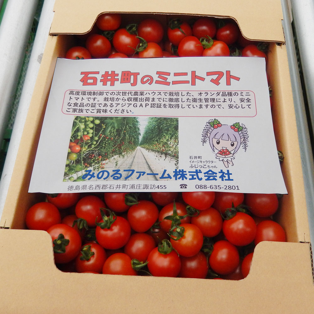 楽天市場 ミニトマト 2kg 徳島県みのるファーム 72 197rz オランダ ライク ズワーン社 推奨品種 ミニトマト アジアｇａｐ認証 みのるセレクション