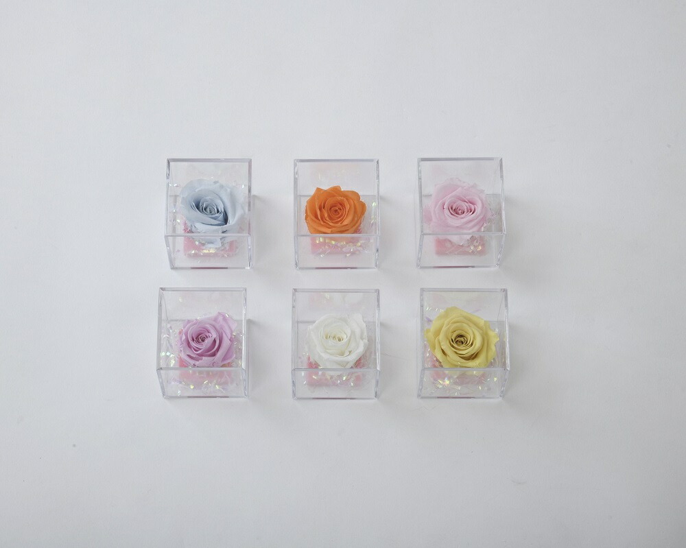 楽天市場】YUKI インターフュージョンシリーズ【アソート