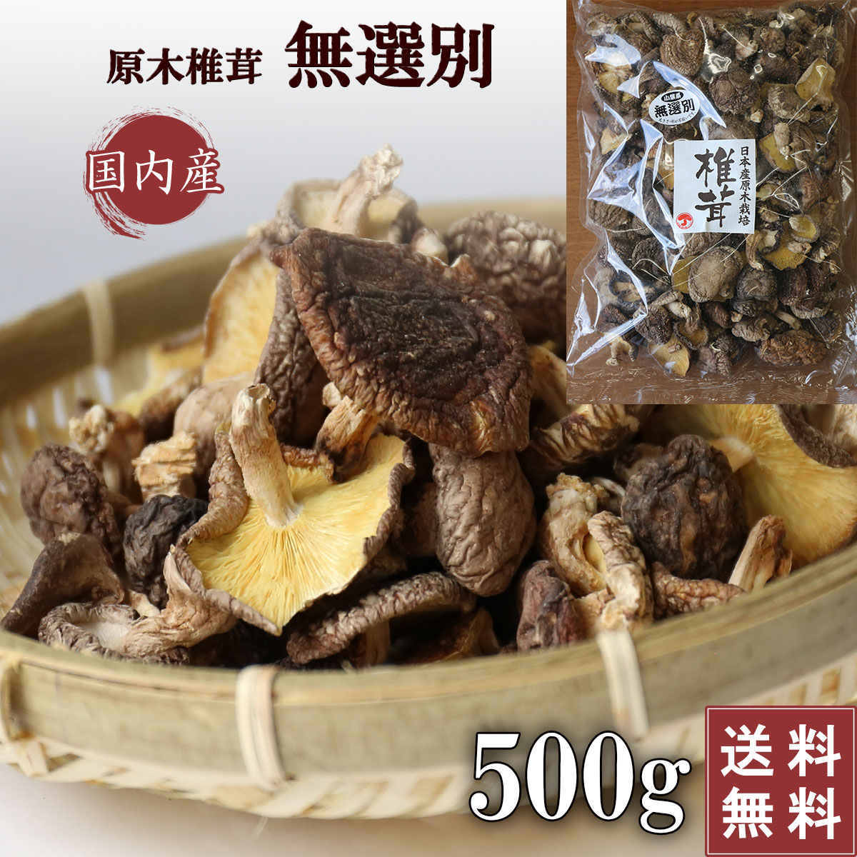訳あり 国産 干し椎茸 無選別 500g 送料無料 大容量 椎茸 小葉 家庭用 出汁 きのこ 干ししいたけ シイタケ 乾燥シイタケ 岐阜 原木椎茸 ほししいたけ