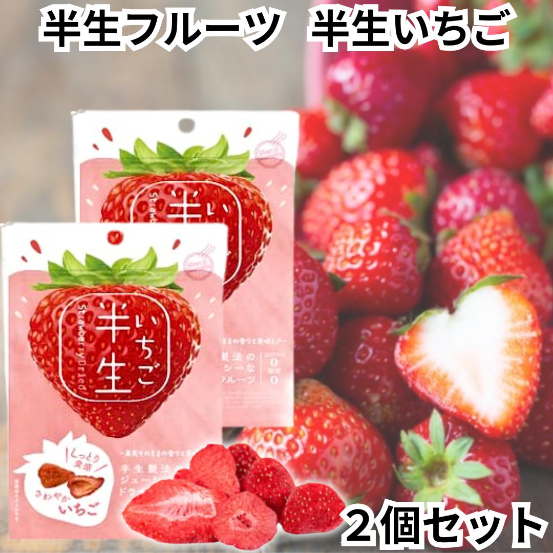 楽天市場】ドライフルーツ [七城町特産品センター] 七城メロンドーム