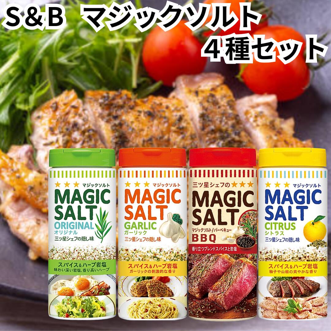 エスビー マジックソルト オリジナル ガーリック バーベキュー シトラス お試し4種セット S&B BBQ スパイス 塩 コショウ エスビー食品 送料無料画像