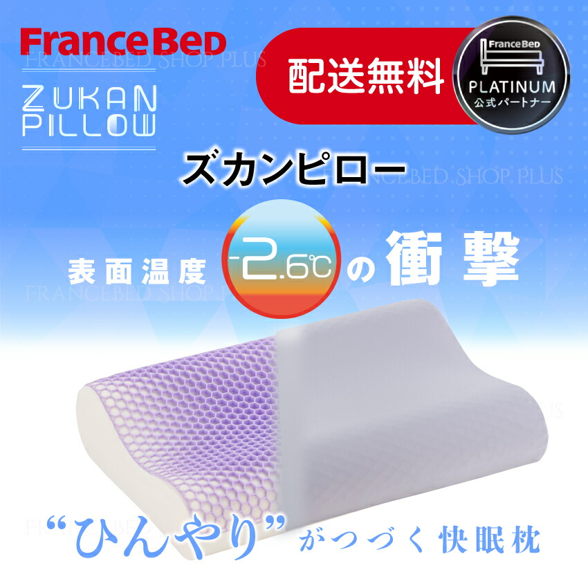 楽天市場】フランスベッド 頭寒足熱 ズカンピロー ZUKAN PILLOW