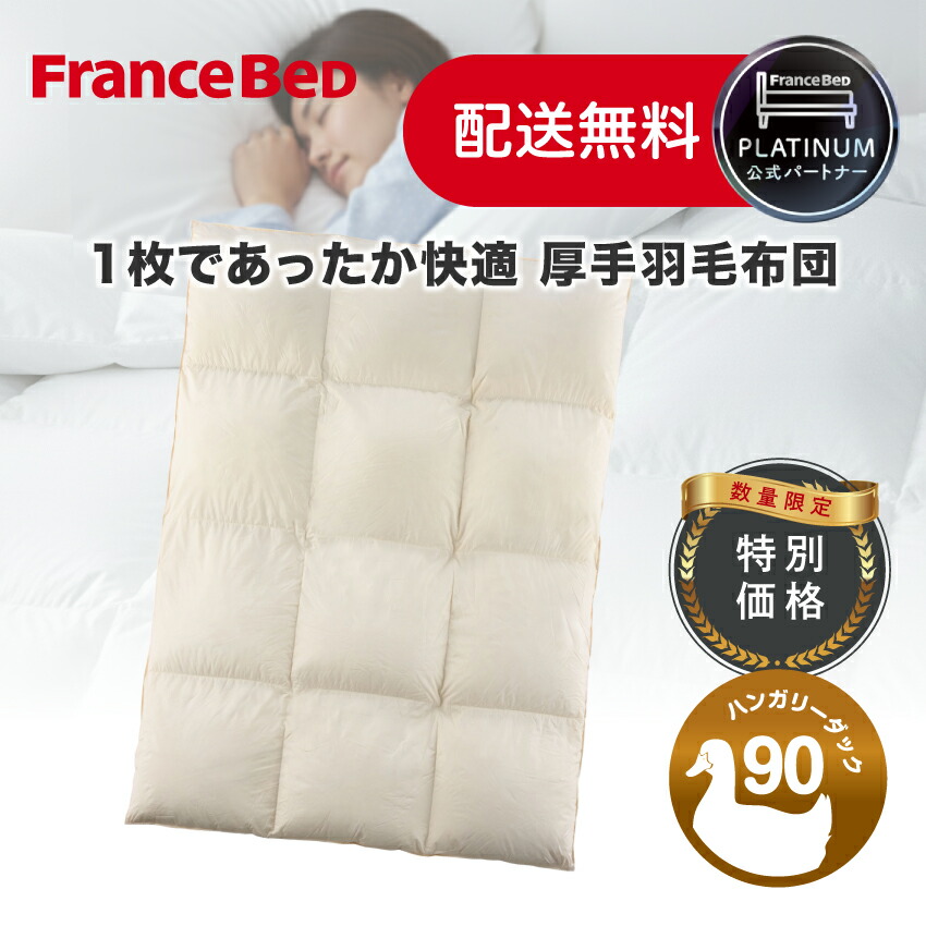 【尖んがり10倍～】フランスベッド 堅苦しさ共同作業者 綿羽ふとん セレーヌ綿羽OZ 1枚手合い 寸法押さえる 掛け布団 SEK制菌工業 防壁蝨目 住み家砂ぼこり打つ手工業 抗菌防臭 日本製