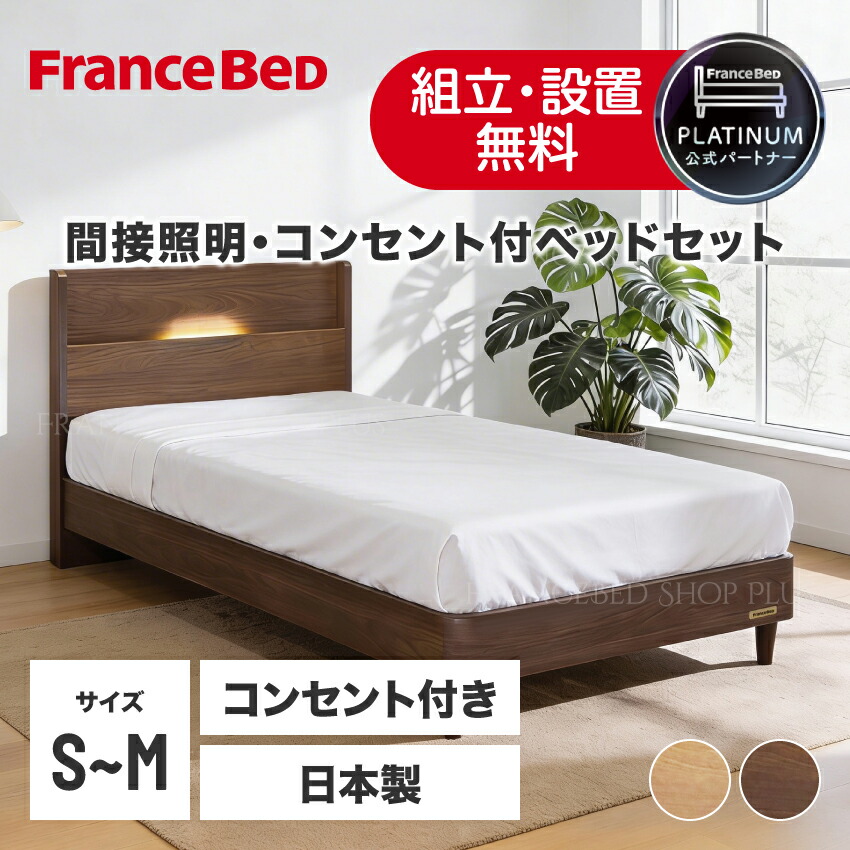【尖んがり10倍～】フランスベッド 堅苦しさ共同作業者 寝台書き割り SPT-01C 寝台ひな形 レッグ 脚付き添い人 薄型押し入れ LED間接的な行動点火装置 差し込み付 スノコ床板 ZI-100 マットレス 密集して年代順の継続春月 抗菌工業 高通気性 厚さ20浪華節的 定め事品 日本製 精神的な統合 据え付ける無料
