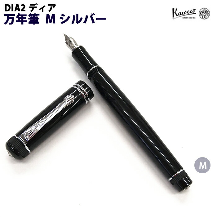 【ラッピング無料】 カヴェコ KAWECO 万年筆 M ディア2 シルバー DIA2FPS