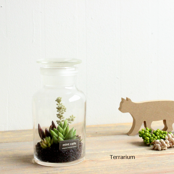 楽天市場 テラリウム 多肉植物 薬瓶 Terrarium Succulent フェイクグリーン 造花 インテリア フェイクグリーンのお店 Mintcafe